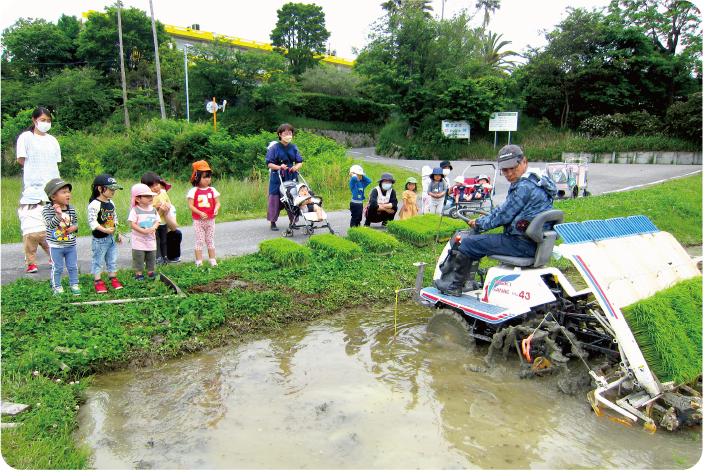 田植え見学